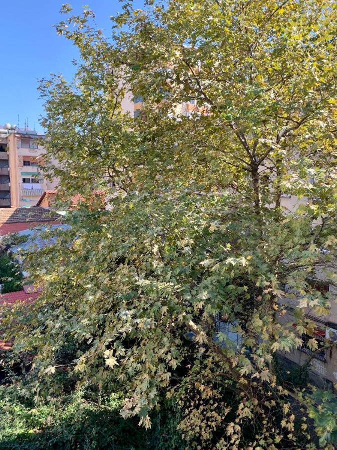 The Nest Albania Apartment Tirana Bagian luar foto